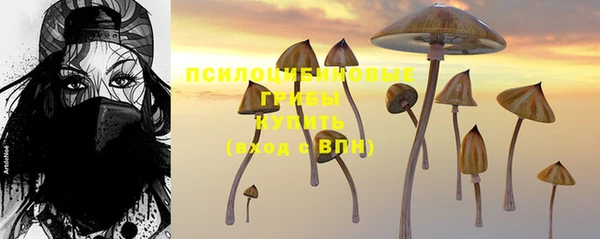 ALPHA-PVP Армянск