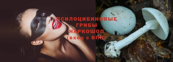 мяу мяу мука Аркадак