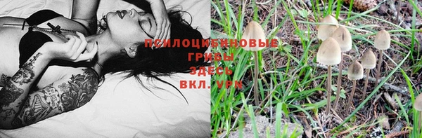 мяу мяу мука Аркадак