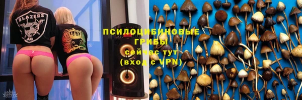 мяу мяу мука Аркадак